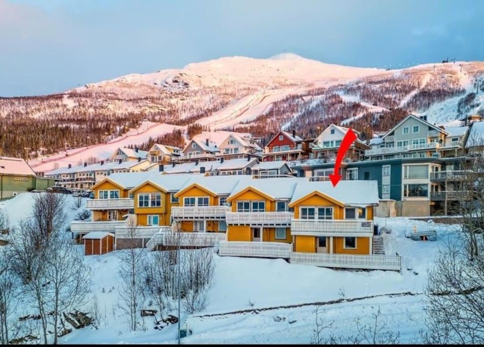 Mountain Homes Spectacular View House * Narvik