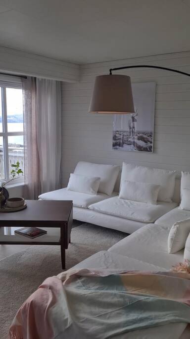 Mountain Homes Spectacular View House * Narvik